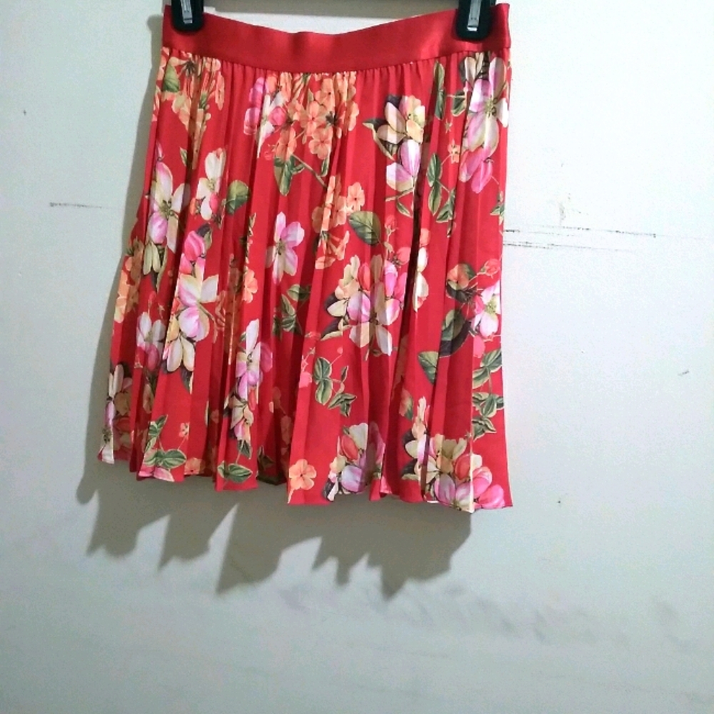 Express skirt